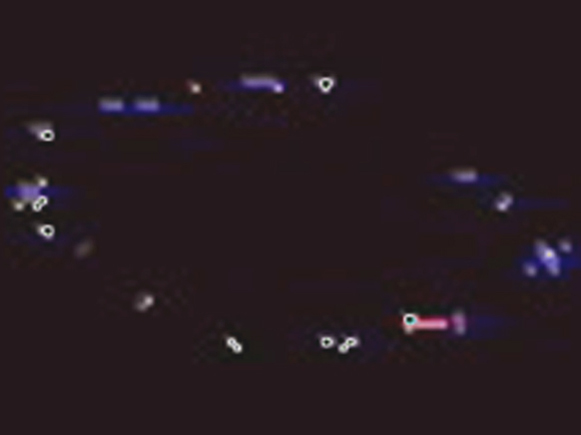 UFO objects Dec 21 2010 Michigan