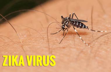 Zika virus mosquito 