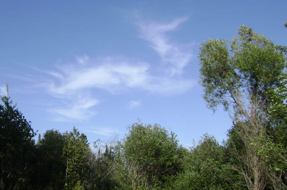 Sylphs over Minnesota Jan 19, 2009