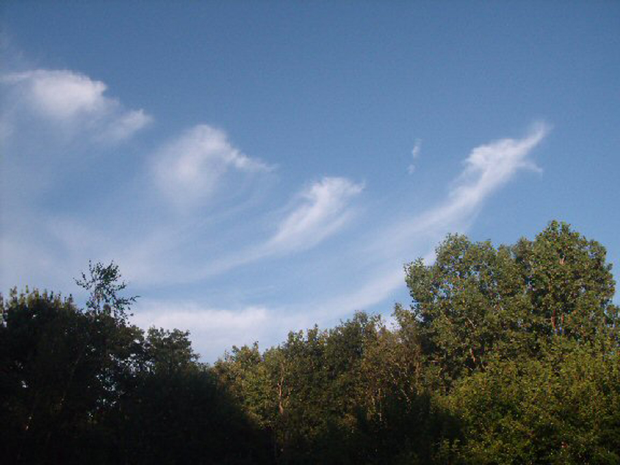 Sylphs over MIchigan August 16 2008